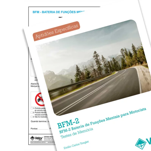 BFM-2 - Bateria de Funções Mentais para Motorista - Teste de Memória - TEMPLAM - Coleção