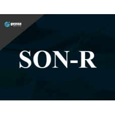 SON-R 2 1/2 - 7 Anos - Curso 100% EAD