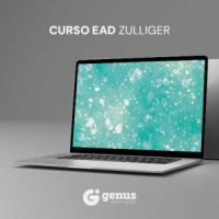 ZULLIGER - SC - Curso 100% EAD