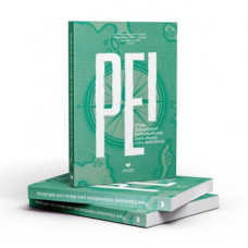 PEI - Plano Educacional Individualizado para alunos com deficiências