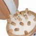 Massageador Estrela Modelo 01 REF.: 014