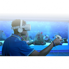 NESPLORA - Attention Adults - Aquarium - Aplicação