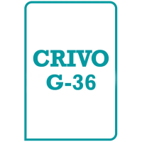 G-36 - Teste Não Verbal de Inteligência - Crivo de Correção - Conjunto com 2