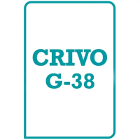 G-38 - Teste Não Verbal de Inteligência - Crivo de Correção